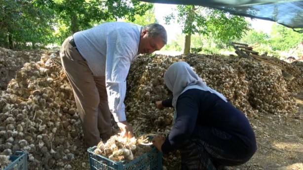 Türkiye ile Almanya arasında bir ilkti! Kapış kapış gidiyordu ama kötü haber geldi