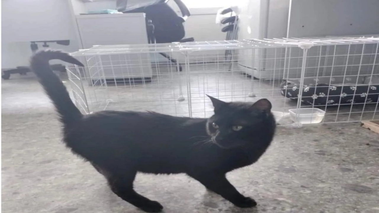 Foto - Türkiye ile Rusya arasında beklenmedik kriz! Sebebi, duyanları şaşkına çevirdi