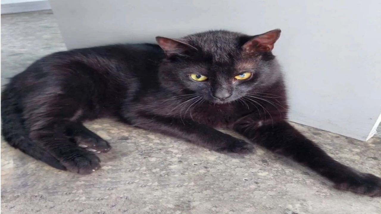 Foto - Türkiye ile Rusya arasında beklenmedik kriz! Sebebi, duyanları şaşkına çevirdi