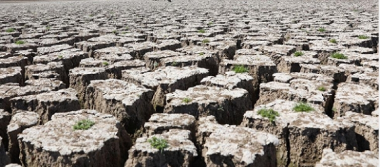 Foto - Türkiye, Katar ve Suudi Arabistan için tedirgin eden uyarı: Daha önce görülmemiş olaylar olacak! Tehlike geliyor