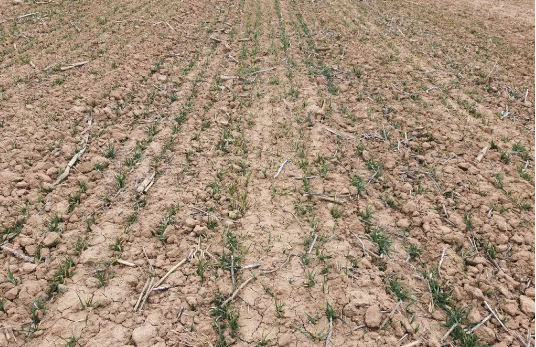 Foto - Türkiye, Katar ve Suudi Arabistan için tedirgin eden uyarı: Daha önce görülmemiş olaylar olacak! Tehlike geliyor