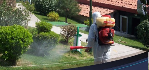 Foto - Türkiye, koronavirüsle mücadele ederken... 7 ilimizden tedirgin eden haber