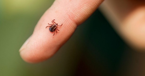 Foto - Türkiye koronavirüsle mücadele ederken... Uzmanlar o ölümcül tehlikeye karşı uyardı