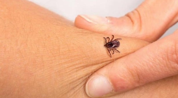 Foto - Türkiye koronavirüsle mücadele ederken... Uzmanlar o ölümcül tehlikeye karşı uyardı