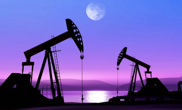 Foto - Türkiye kutuplarda petrol bombasını patlattı! İzin resmen çıktı