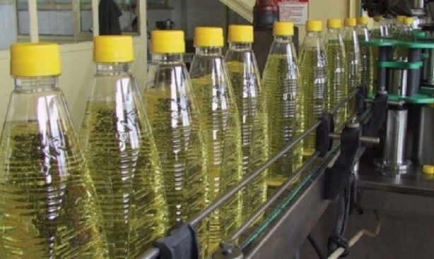 Türkiye nefesini tuttu! Ayçiçek yağı için tarihi bir adım atılıyor