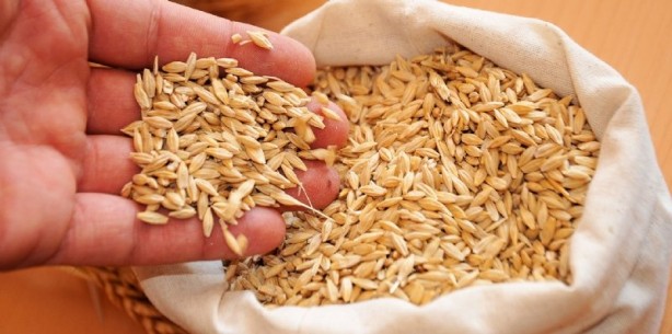 Foto - Türkiye nefesini tuttu! Ayçiçek yağı için tarihi bir adım atılıyor