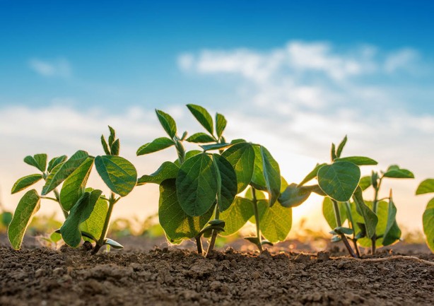 Foto - Türkiye o alanda tüm zamanların rekorunu kırdı! Ha bu da birilerine kapak olsun