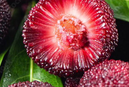 Türkiye o meyvenin kıymetini bilmedi! Çinliler kapış kapış alıyor! Şok etti