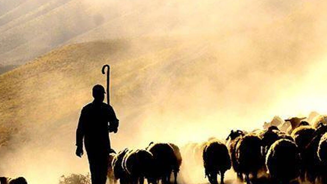 Foto - O sektörde eleman kriz büyüdü! Hükümetten izin çıktı: Yabancı işçiler getirilecek