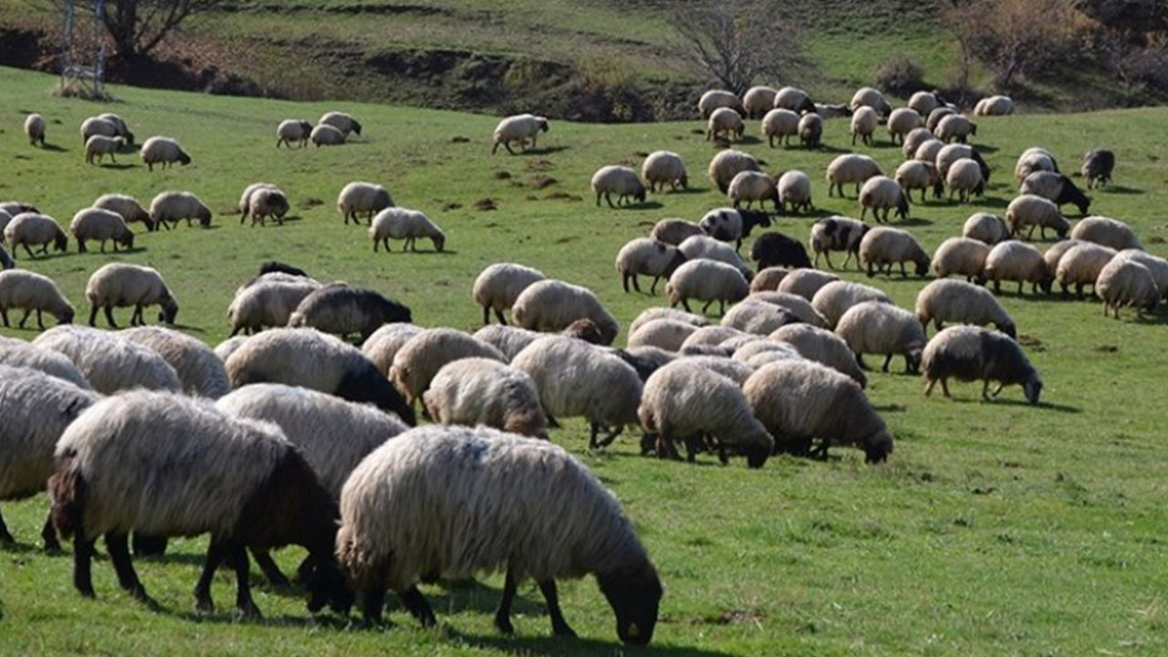 Foto - O sektörde eleman kriz büyüdü! Hükümetten izin çıktı: Yabancı işçiler getirilecek