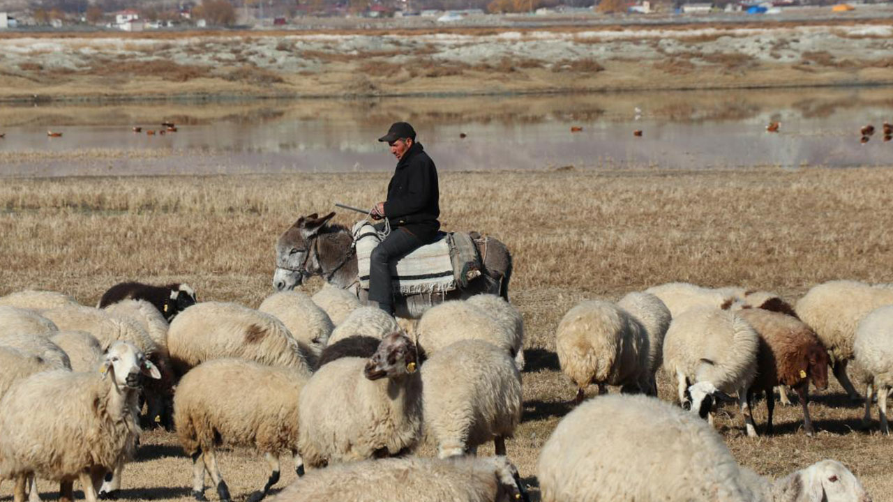 Foto - O sektörde eleman kriz büyüdü! Hükümetten izin çıktı: Yabancı işçiler getirilecek