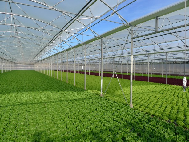 Foto - Türkiye oradan gelecek haber için nefesini tuttu! Yerin altından fışkırması an meselesi, bu kez petrol yada gaz değil...