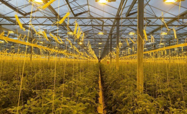 Foto - Türkiye oradan gelecek haber için nefesini tuttu! Yerin altından fışkırması an meselesi, bu kez petrol yada gaz değil...