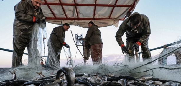 Foto - Türkiye rekor kırdı! Bu yıl hedef 575 bin ton yetiştiricilik!