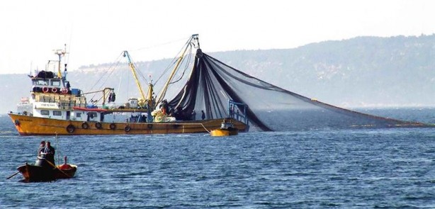 Foto - Türkiye rekor kırdı! Bu yıl hedef 575 bin ton yetiştiricilik!