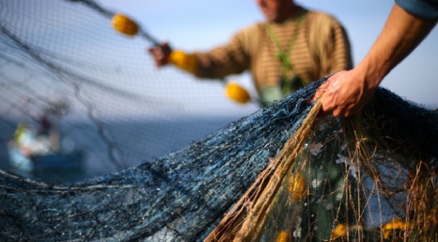 Foto - Türkiye rekor kırdı! Bu yıl hedef 575 bin ton yetiştiricilik!