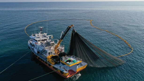 Foto - Türkiye rekor kırdı! Bu yıl hedef 575 bin ton yetiştiricilik!
