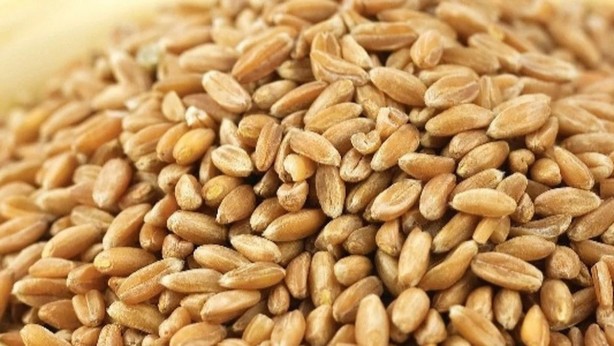 Foto - Türkiye Rusya'dan alımı kıstı! Moskova yana yakıla müşteri aramaya başladı