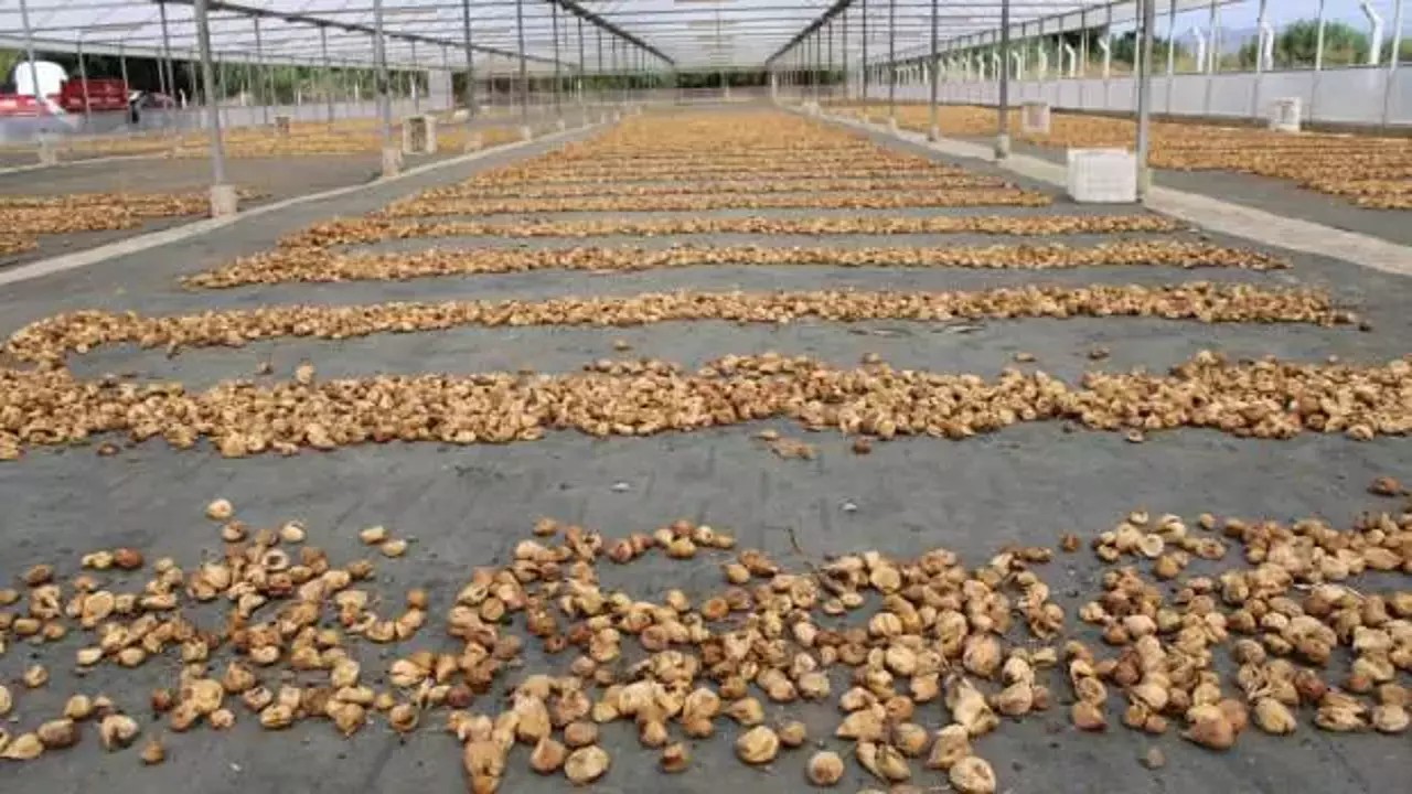 Türkiye sattı! Bulgaristan kapıdan geri çevirdi, 'bunu almayız' dedi