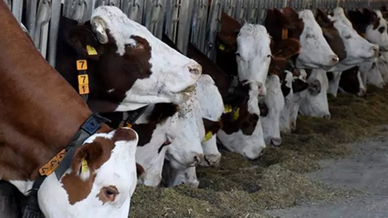 Foto - Türkiye tüm Avrupa ülkelerini solladı! İspanya, Fransa, Yunanistan geride kaldı...