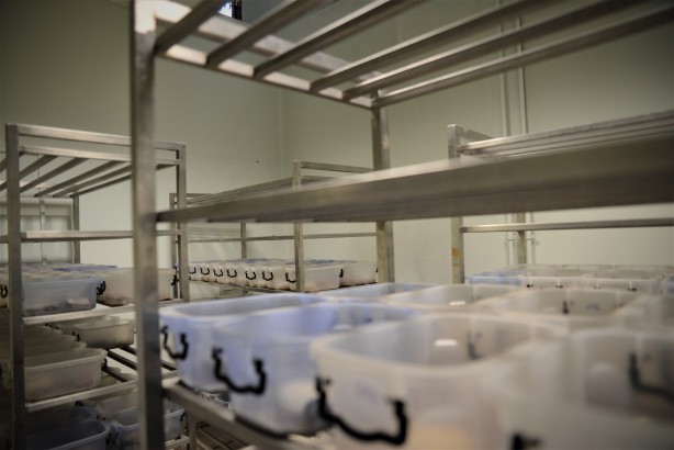 Foto - Türkiye uluslararası arena için atağa geçiyor! Binlerce doz panzehir üretiliyor