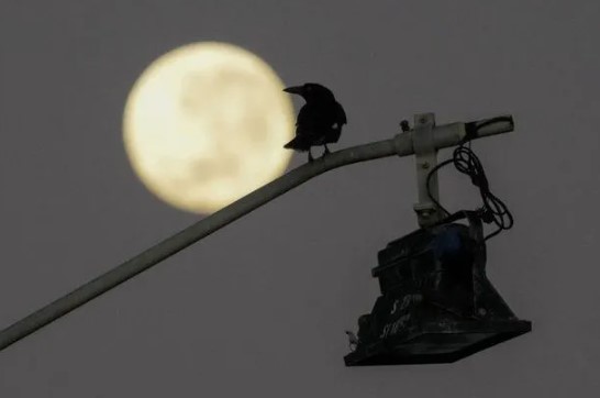 Foto - Türkiye ve dünyadan kanlı ay tutulması manzaraları