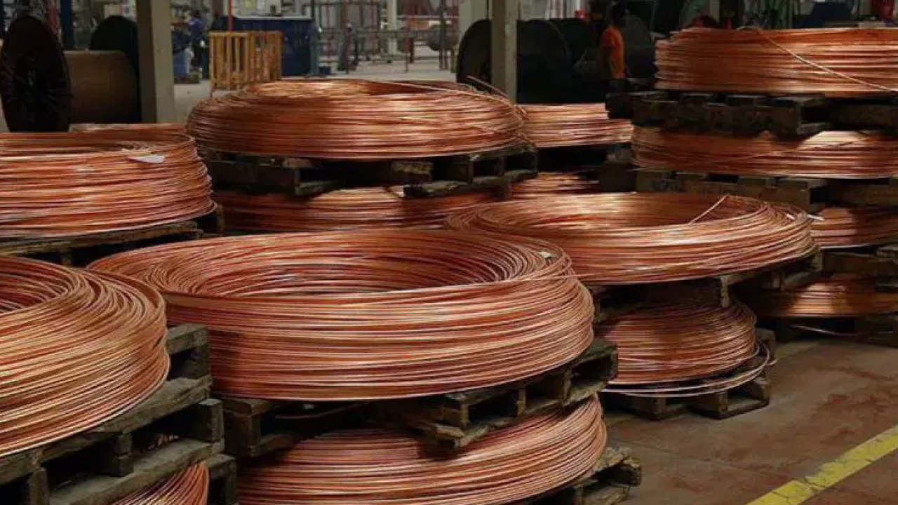 Foto - Türkiye yerine Suudi Arabistan'ı seçtiler: Yıllık kayıp maalesef en az 1 milyar dolar