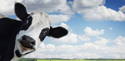 Foto - Türkiye'de adı duyulmuş tesisi olan Türk devi iflas etti! İflas eden şirketin binlerce çalışan işsiz kaldı