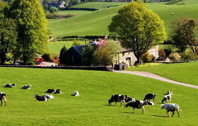 Foto - Türkiye'de adı duyulmuş tesisi olan Türk devi iflas etti! İflas eden şirketin binlerce çalışan işsiz kaldı