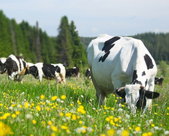Foto - Türkiye'de adı duyulmuş tesisi olan Türk devi iflas etti! İflas eden şirketin binlerce çalışan işsiz kaldı