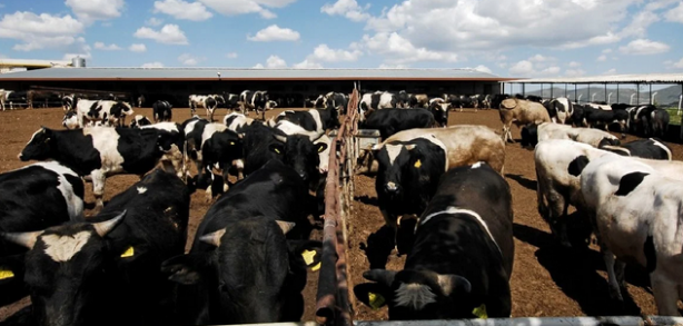 Foto - Türkiye'de adı duyulmuş tesisi olan Türk devi iflas etti! İflas eden şirketin binlerce çalışan işsiz kaldı