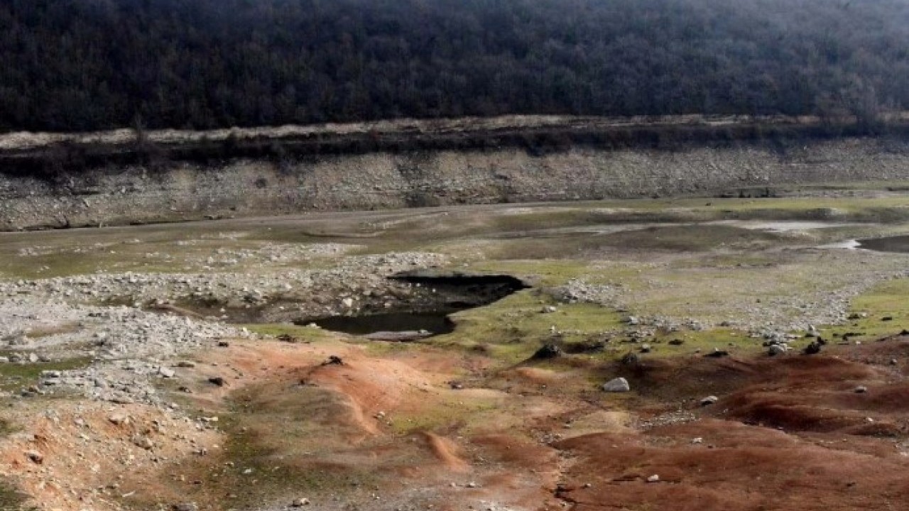 Foto - Türkiye’de beklenenden 20 yıl önce başladı! Tehlike sessizce yayılıyor