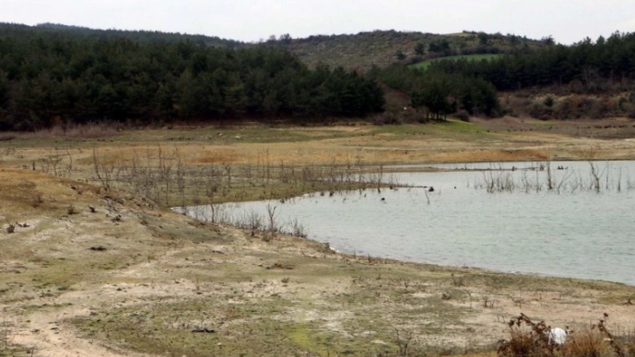 Foto - Türkiye’de beklenenden 20 yıl önce başladı! Tehlike sessizce yayılıyor