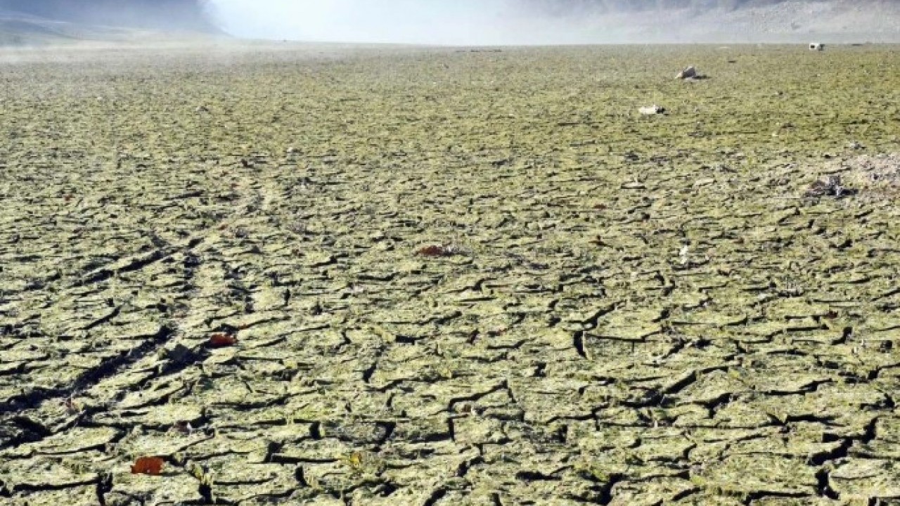 Foto - Türkiye’de beklenenden 20 yıl önce başladı! Tehlike sessizce yayılıyor