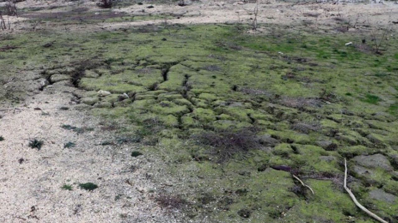Foto - Türkiye’de beklenenden 20 yıl önce başladı! Tehlike sessizce yayılıyor