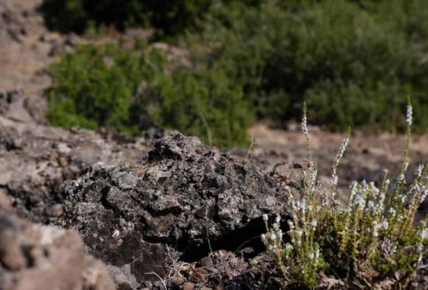 Foto - Türkiye'de bir ilk, 5 km derinlikte 8 adet bulundu! Püskürme ihtimali gündemde...