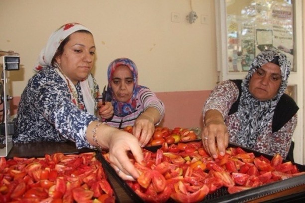 Foto - Türkiye'de bir ilk! Domatesten un yaptılar