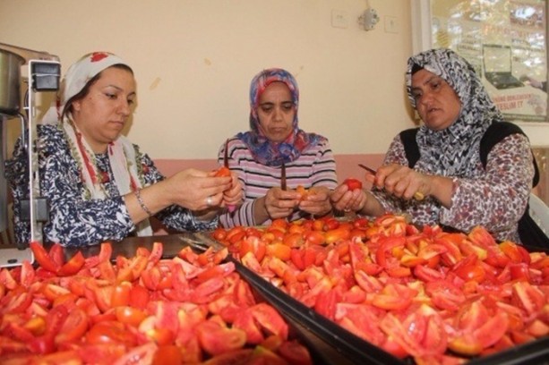 Foto - Türkiye'de bir ilk! Domatesten un yaptılar