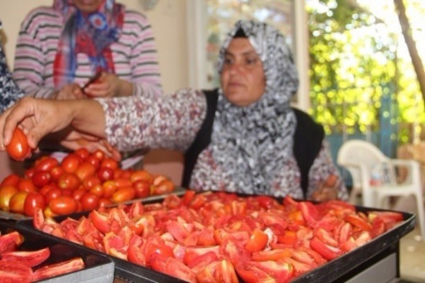 Foto - Türkiye'de bir ilk! Domatesten un yaptılar