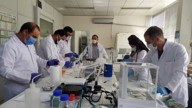 Türkiye'de bir ilk! Hastalıklara dayanıklı olarak geliştirildi