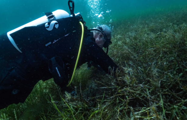 Foto - Türkiye'de bir ilk! Marmara Denizi’nde hayata geçiriliyor