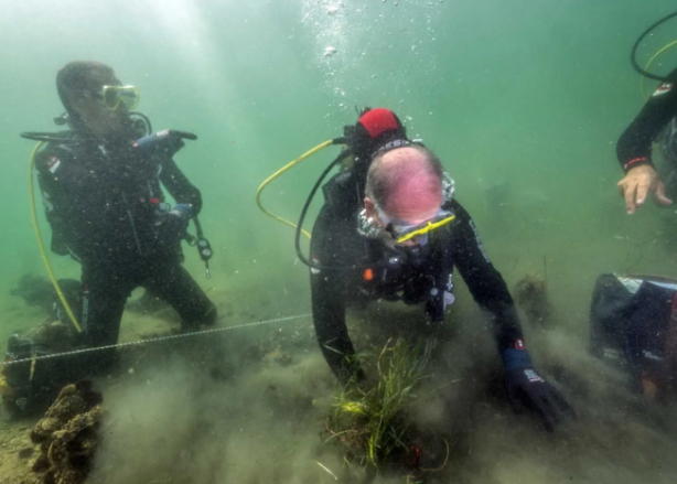 Foto - Türkiye'de bir ilk! Marmara Denizi’nde hayata geçiriliyor