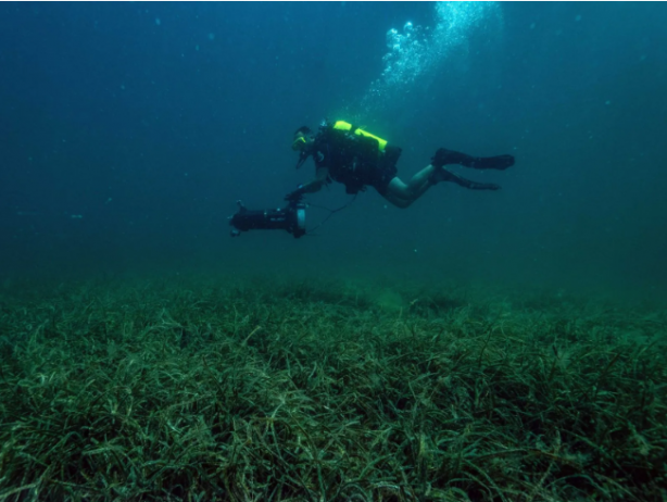 Foto - Türkiye'de bir ilk! Marmara Denizi’nde hayata geçiriliyor