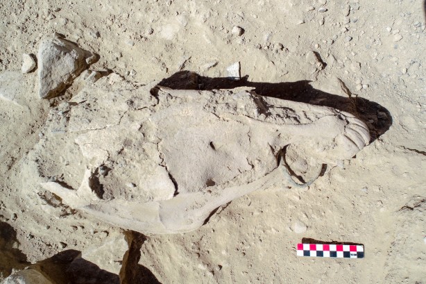 Foto - Türkiye'de bir ilk: O ilimizden tarih fışkırdı: Tüm dünya şaşkın: Dikkat kesildiler! 