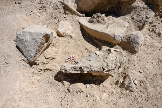 Foto - Türkiye'de bir ilk: O ilimizden tarih fışkırdı: Tüm dünya şaşkın: Dikkat kesildiler! 