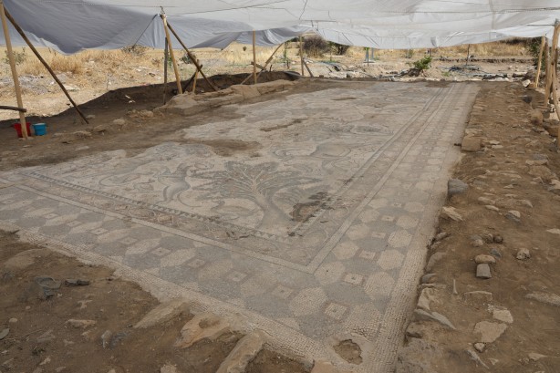 Foto - Türkiye'de bir ilk! 120 bin TL'ye aldığı arsada paha biçilemez bir eser buldu