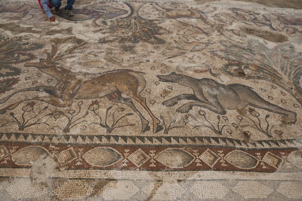 Foto - Türkiye'de bir ilk! 120 bin TL'ye aldığı arsada paha biçilemez bir eser buldu