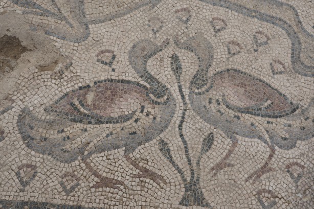 Foto - Türkiye'de bir ilk! 120 bin TL'ye aldığı arsada paha biçilemez bir eser buldu