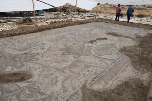 Foto - Türkiye'de bir ilk! 120 bin TL'ye aldığı arsada paha biçilemez bir eser buldu